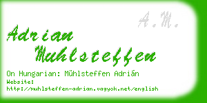 adrian muhlsteffen business card