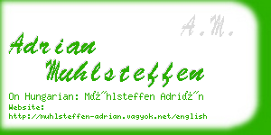 adrian muhlsteffen business card